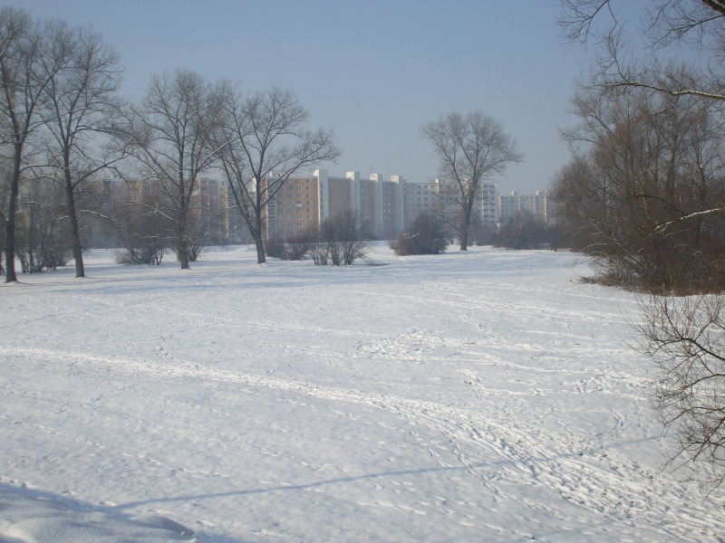 DSCF7947